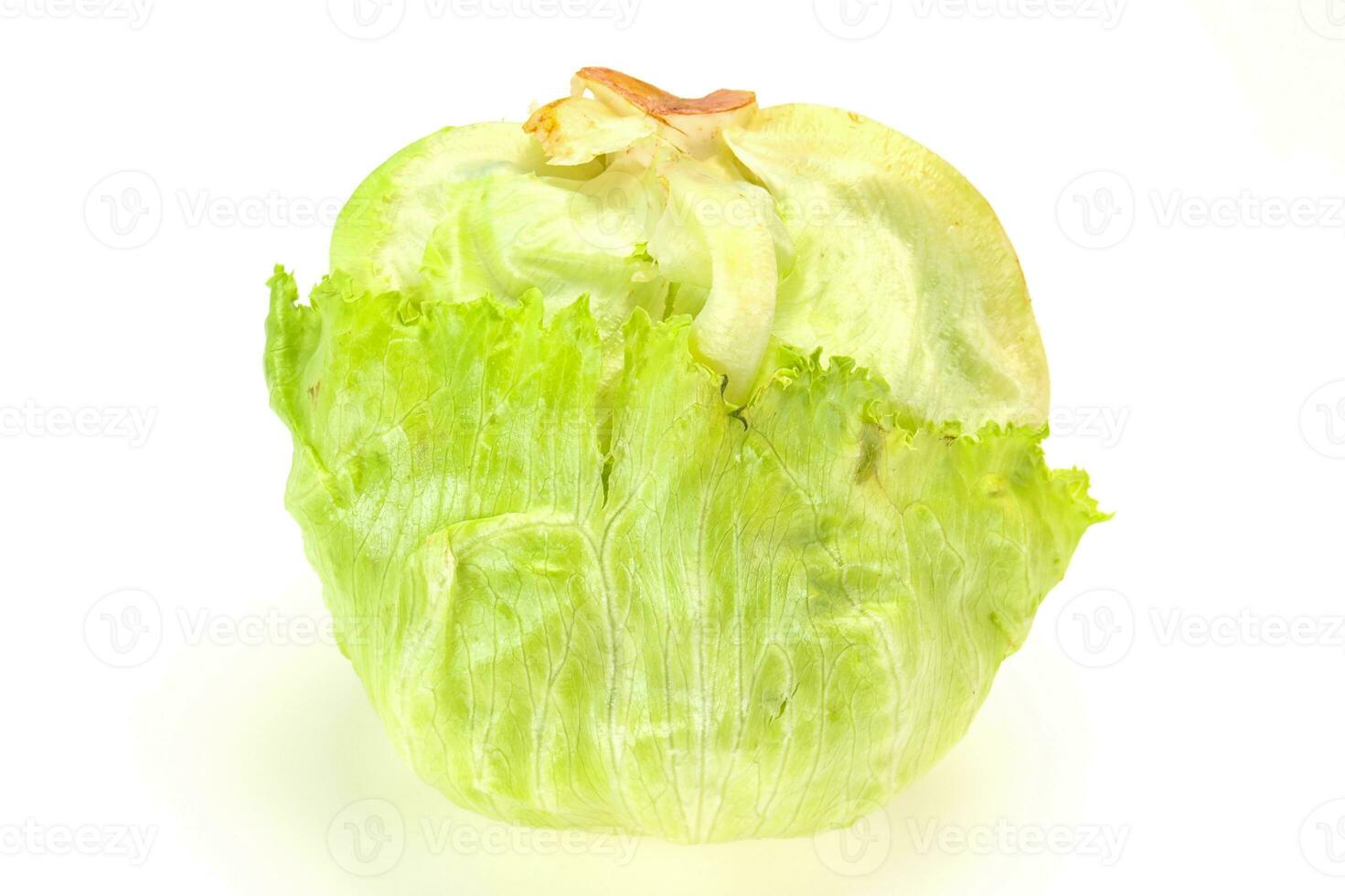 Fresh ripe green Iceberg salad photo