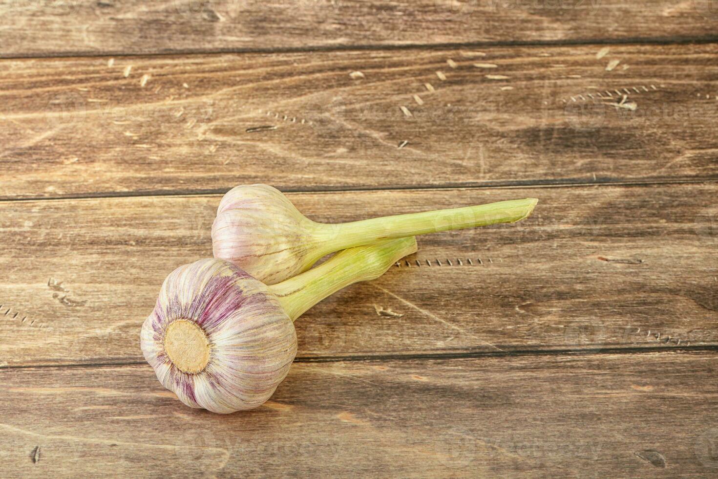 Two Young garlic over background photo