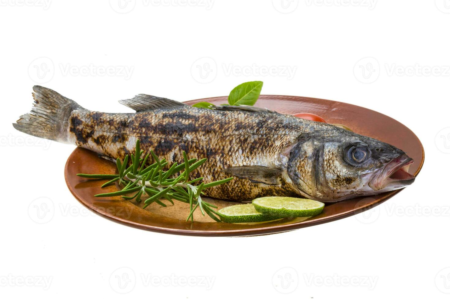 Roasted seabass isolated on white photo