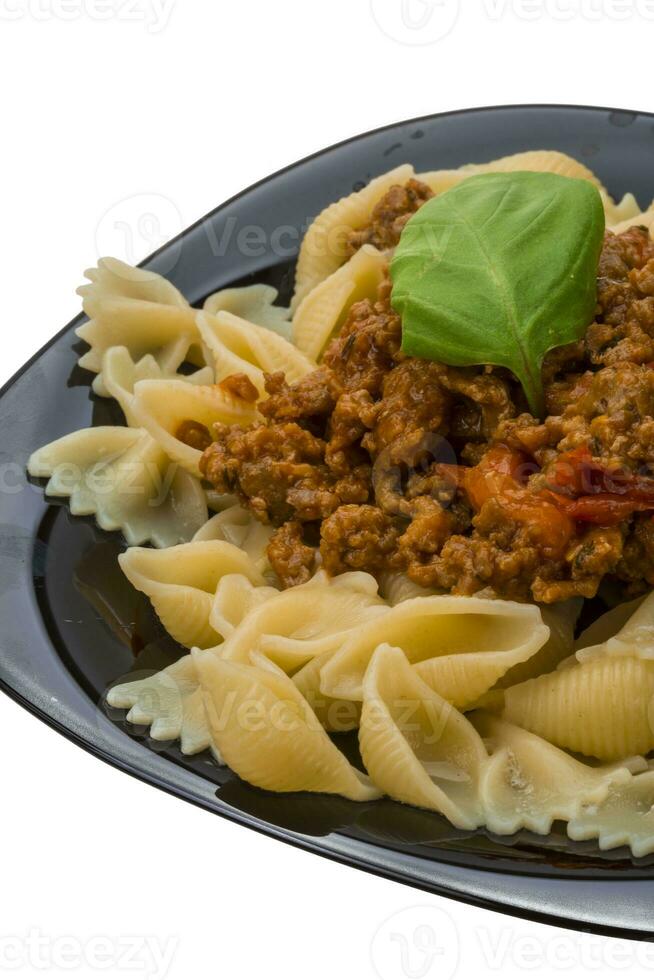 Bolognese isolated on white photo