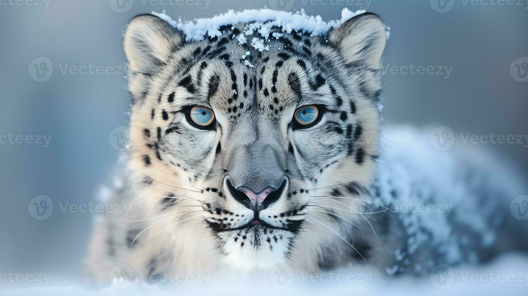 ai generativo de nieve leopardo es debajo el en peligro de extinción especies foto