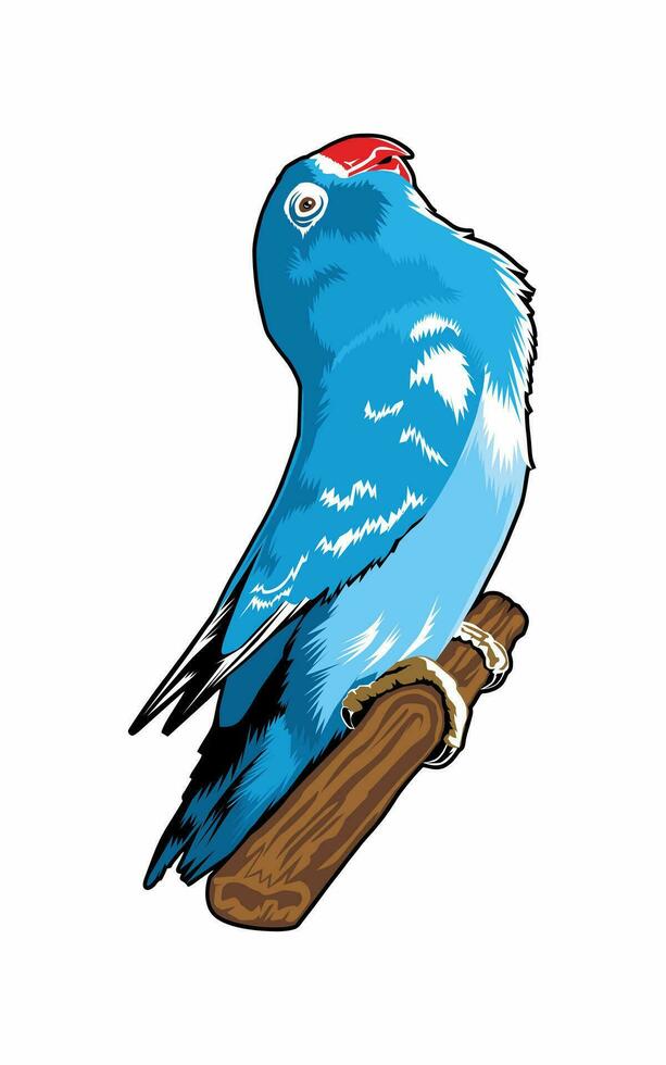 vector azul amor pájaro