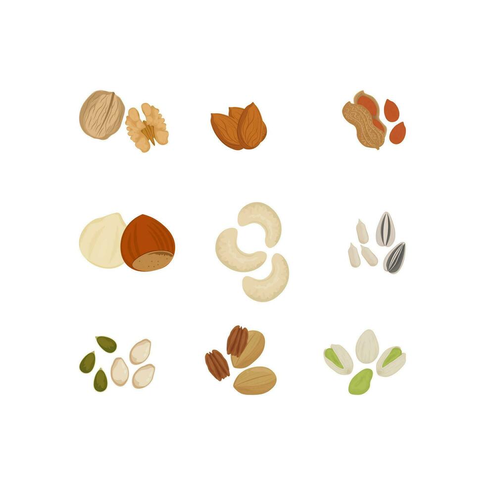 Dried nuts and seeds illustration logo vector