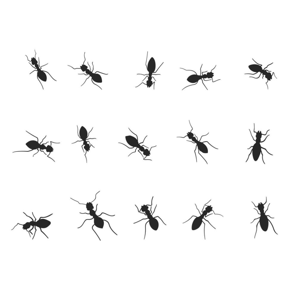 Ant silhouette illustration, Ant colony vector