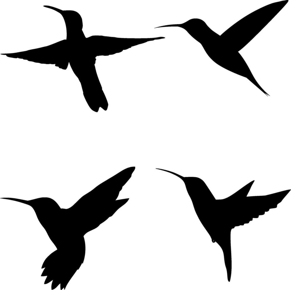 Hummingbird Silhouette Vector on white background