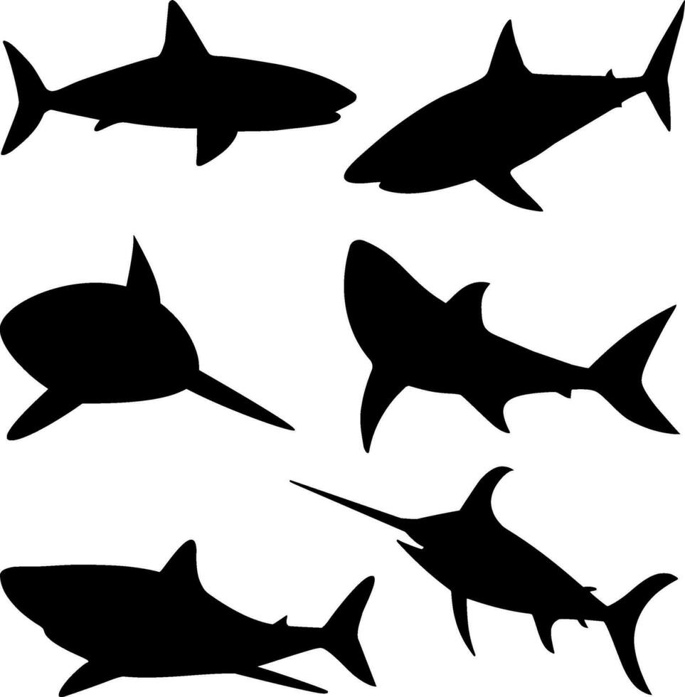 Shark Silhouette Vector on white background