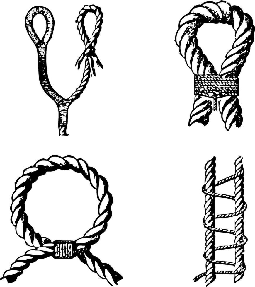 Rope Knot Silhouette Vector on white background
