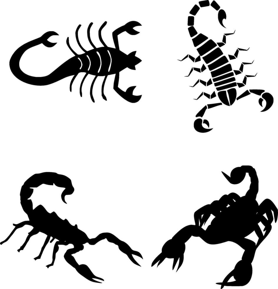 Scorpion Silhouette Vector on white background