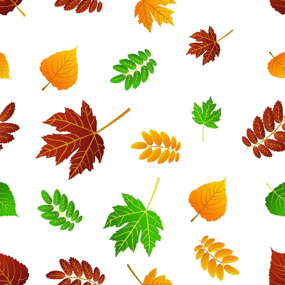 Multicolored autumn seamless pattern of autumn birch, maple leaves on a white background vector