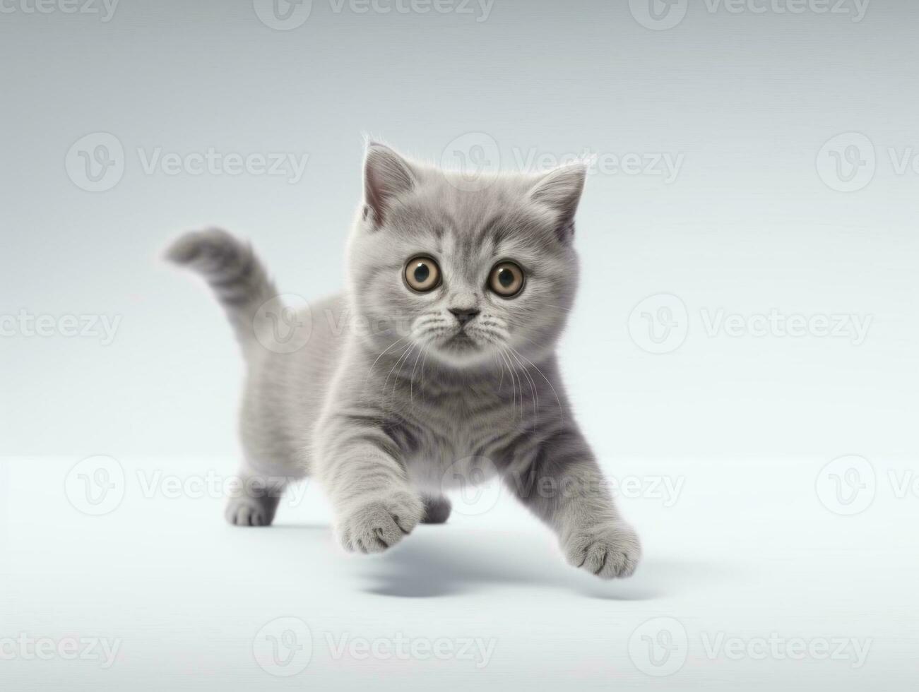 awesome epic photo of cat on white background national geographic style AI Generative