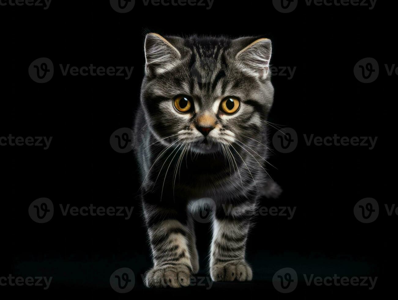 awesome epic photo of cat on white background national geographic style AI Generative