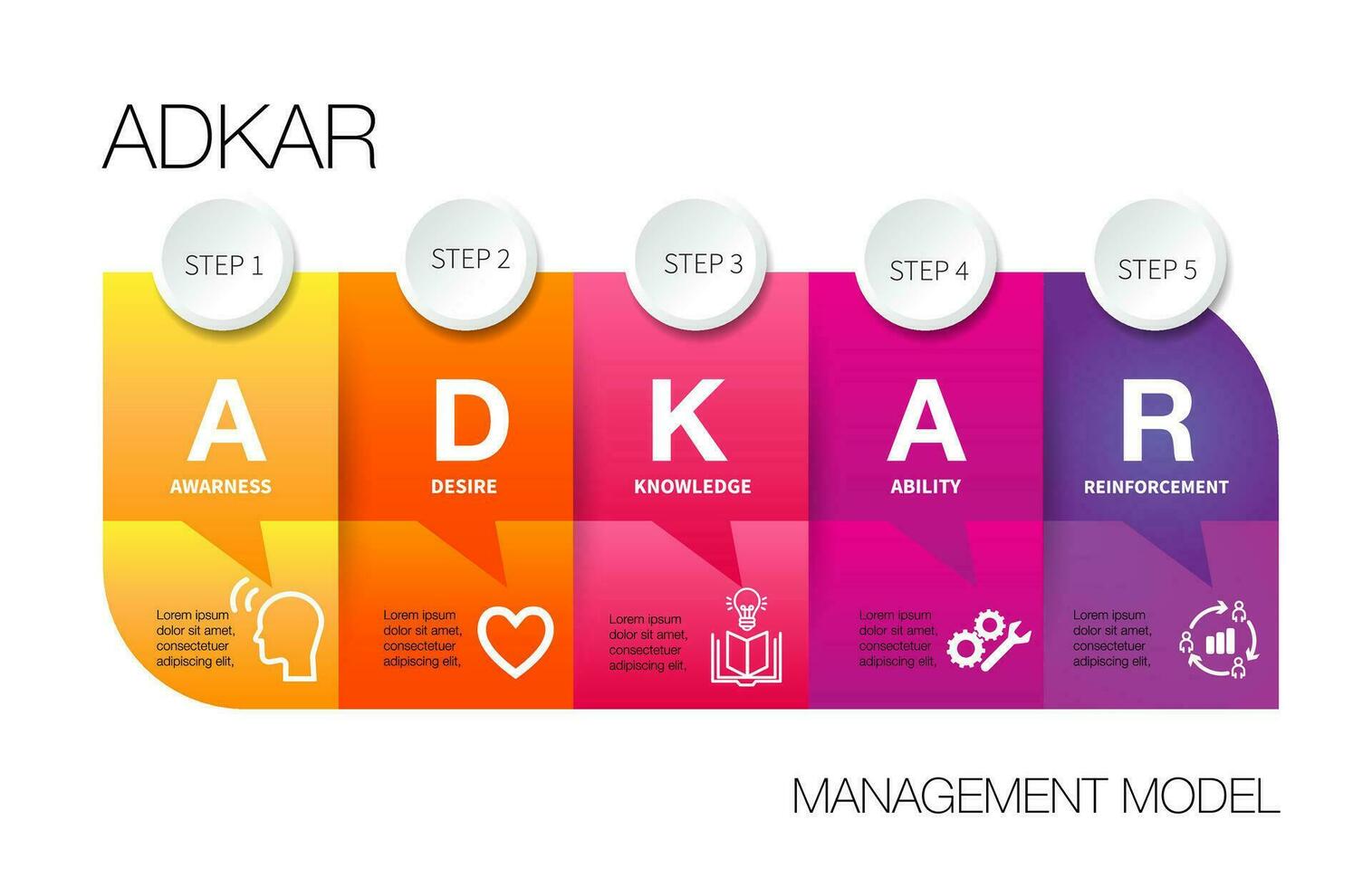 infographic template 5 steps of ADKAR model vector