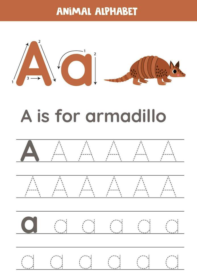 Tracing alphabet letters for kids. Animal alphabet. A is for armadillo. vector