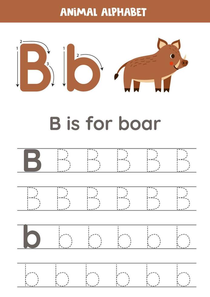 Tracing alphabet letters for kids. Animal alphabet. B is for boar. vector