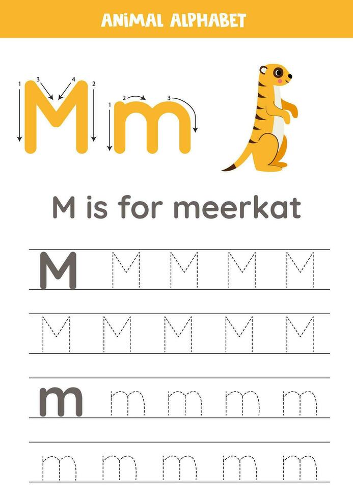 Tracing alphabet letters for kids. Animal alphabet. M is for meerkat. vector