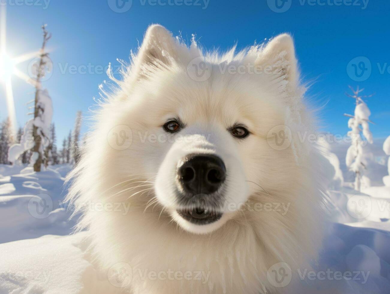 Dog during a winter walk AI Generative photo