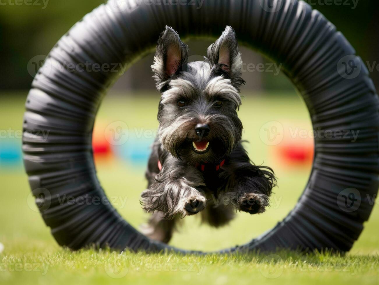 Spirited dog racing through an agility course AI Generative photo