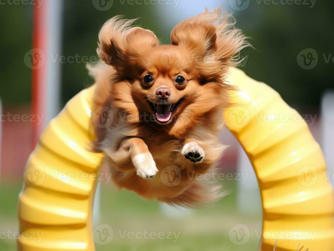 Spirited dog racing through an agility course AI Generative photo