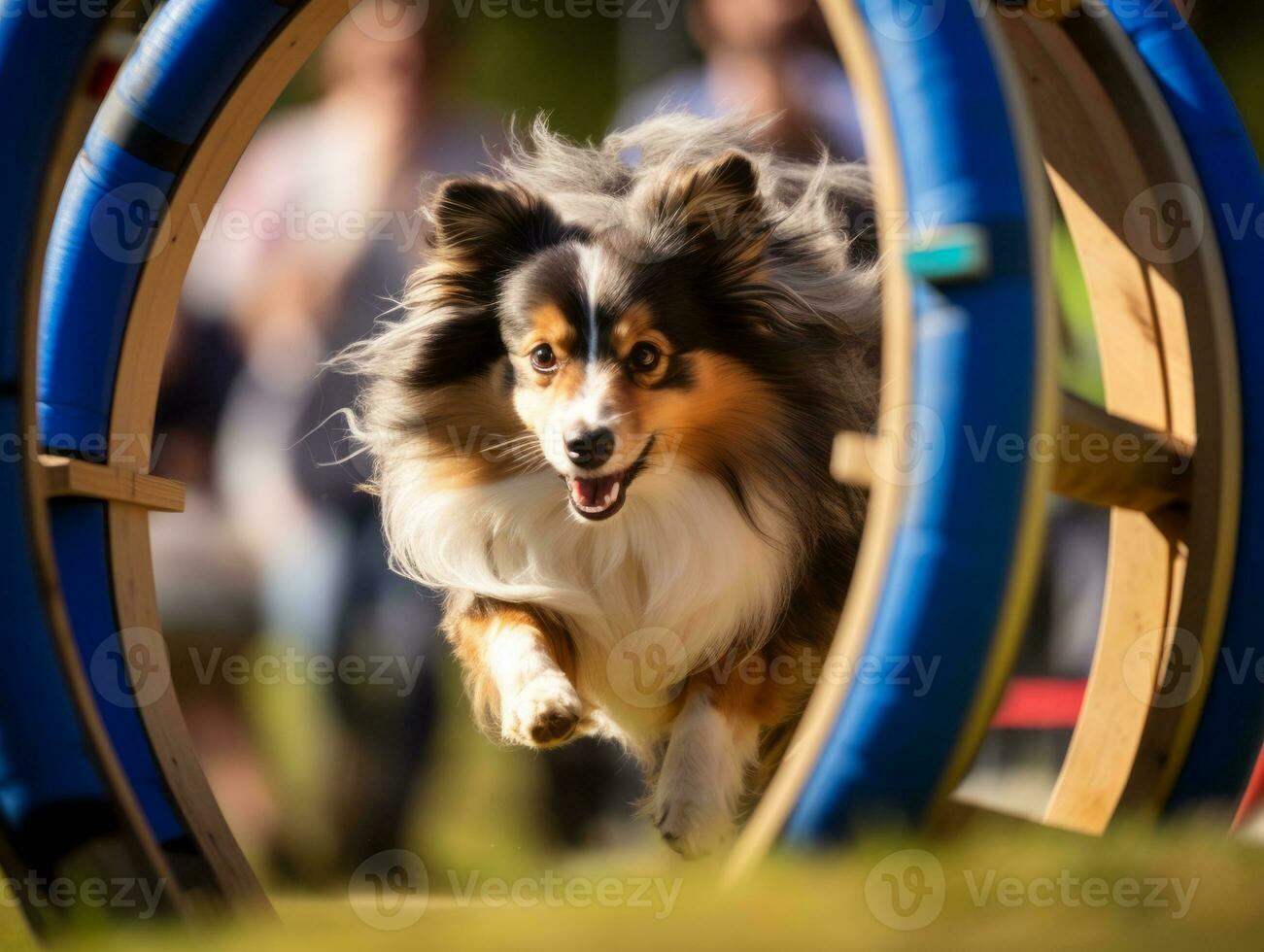 Spirited dog racing through an agility course AI Generative photo