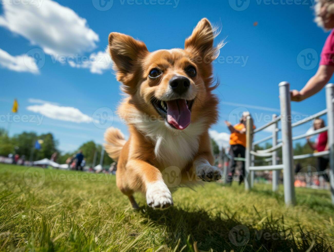 Spirited dog racing through an agility course AI Generative photo