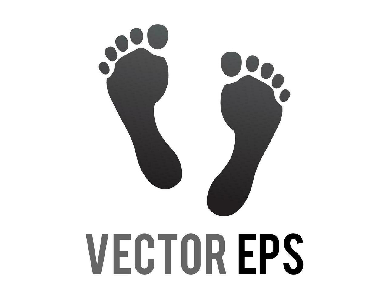 Vector two human footsteps, showing both feet and all five toes