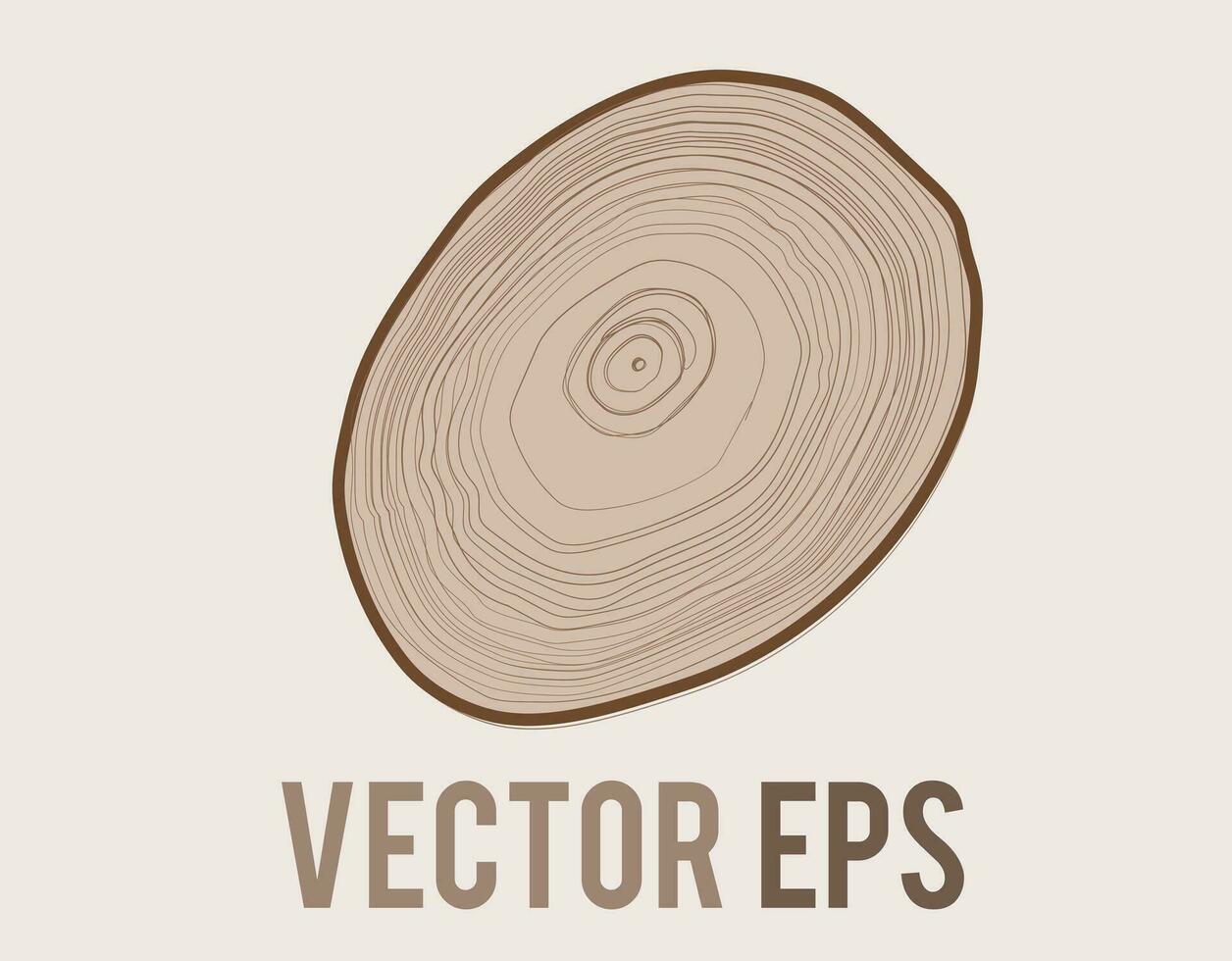 Vector tree with woodgrain ring natural texture from top view