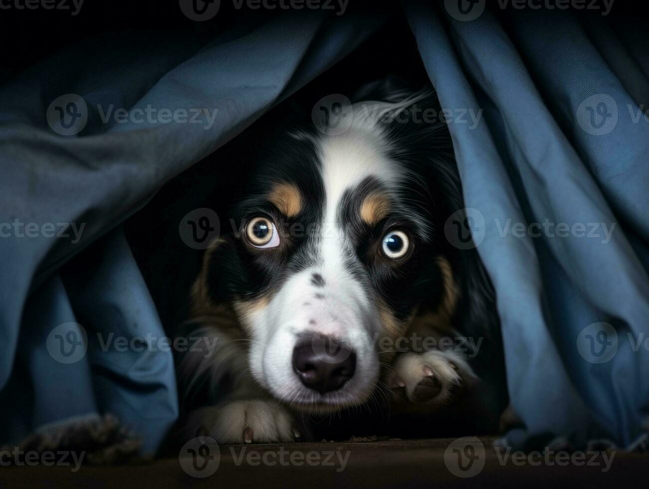 Mischievous dog peeking out from a cozy blanket fort AI Generative photo