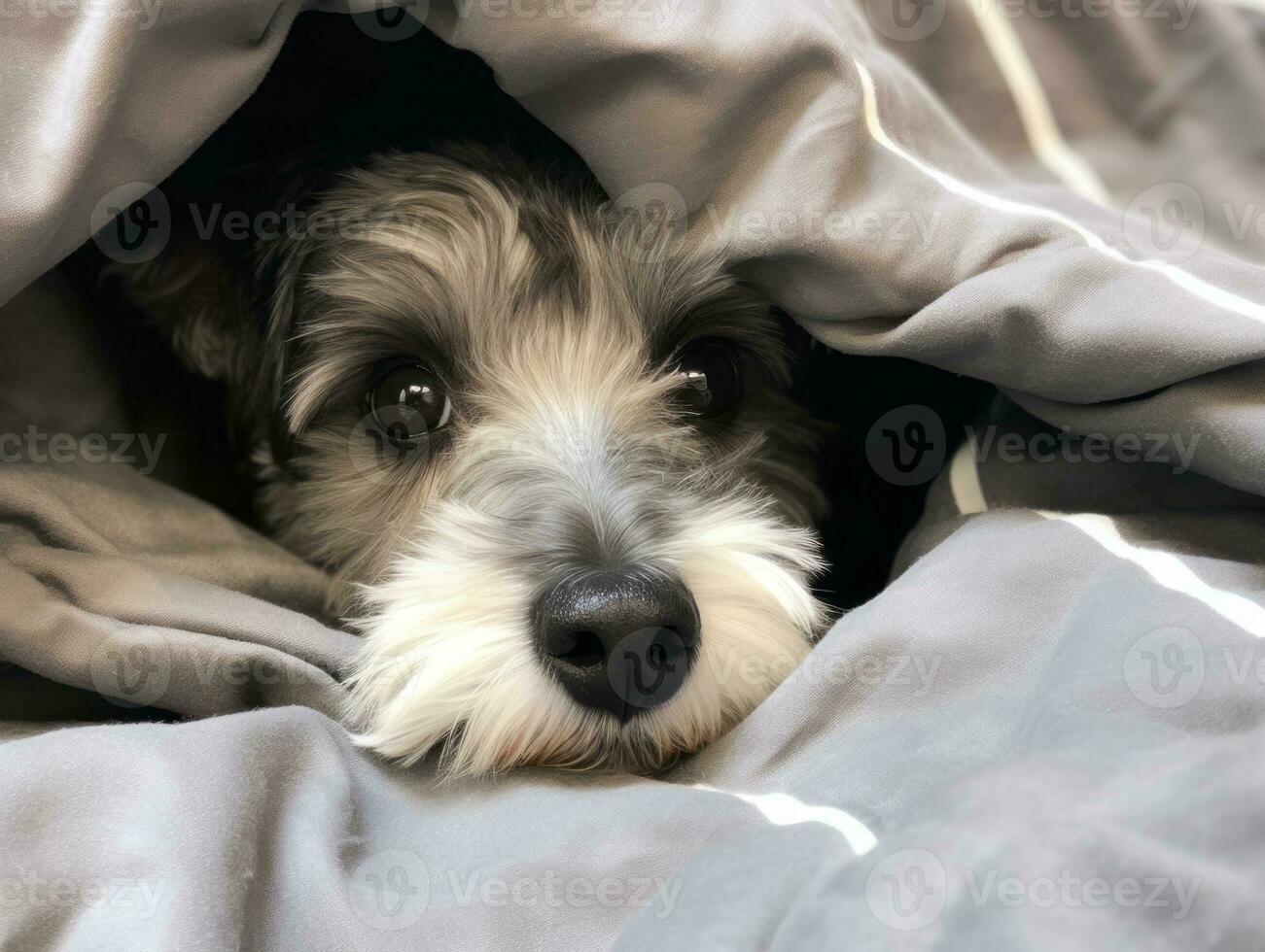 Mischievous dog peeking out from a cozy blanket fort AI Generative photo