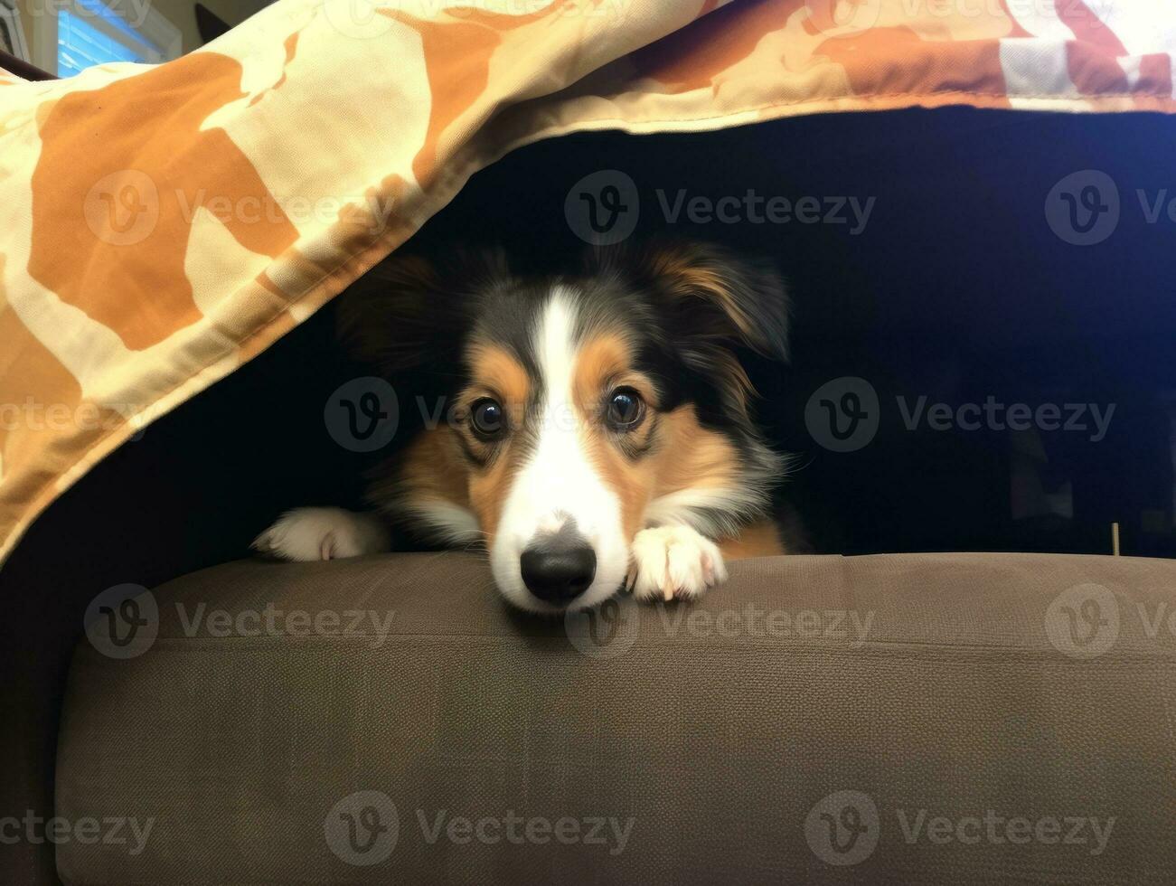 Mischievous dog peeking out from a cozy blanket fort AI Generative photo