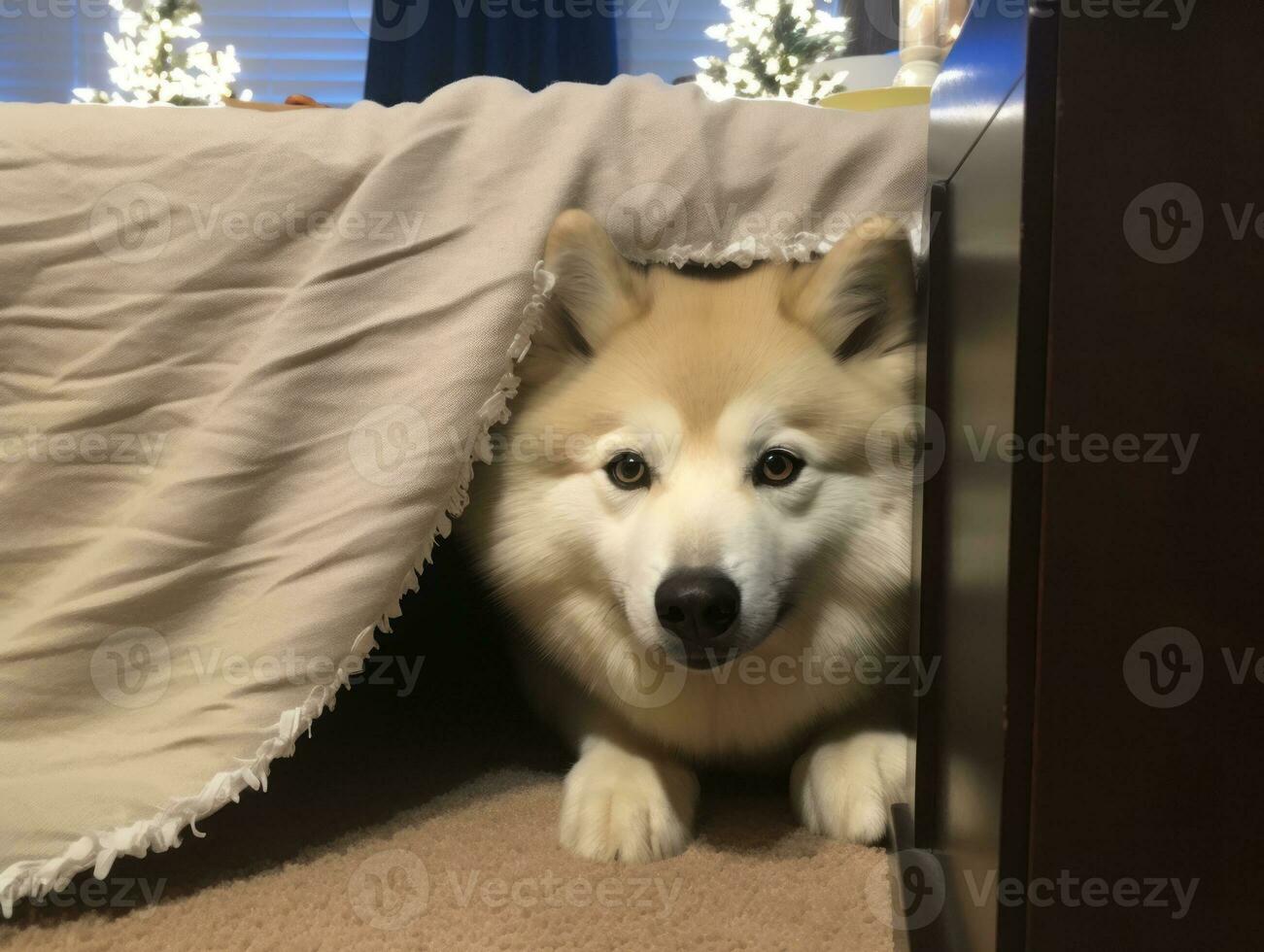 Mischievous dog peeking out from a cozy blanket fort AI Generative photo