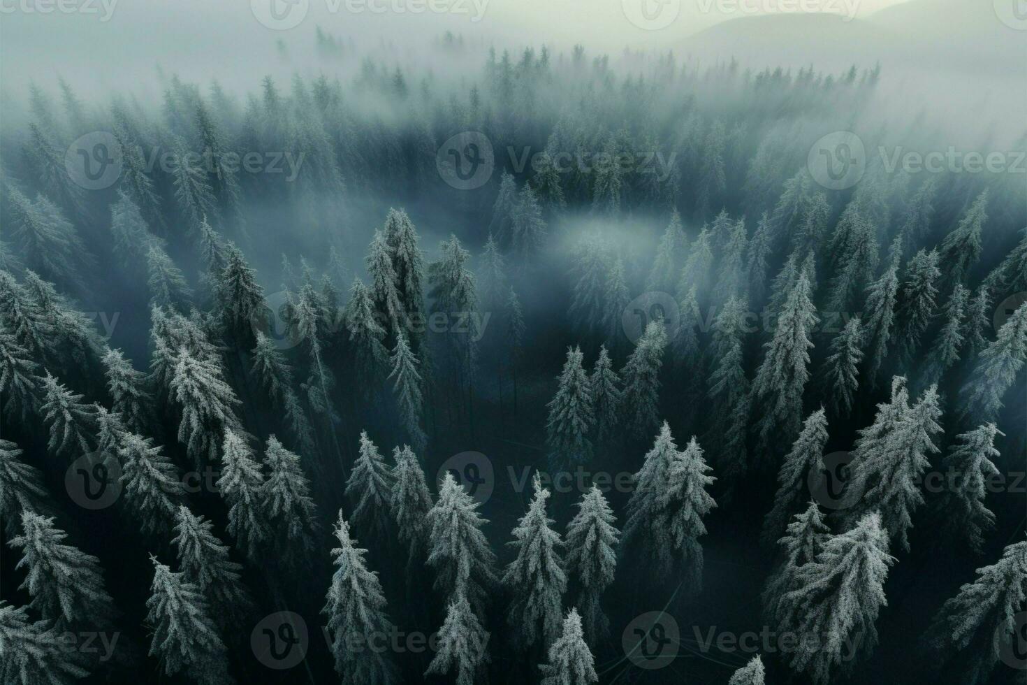 Aerial view of a fog draped, somber winter spruce forest landscape AI Generated photo