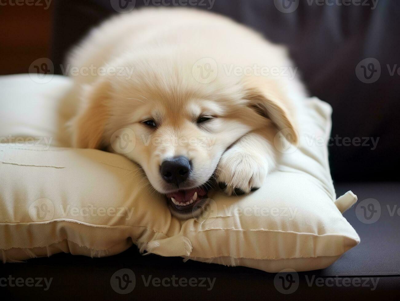 Dog with a mischievous expression surrounded by torn-up pillows AI Generative photo