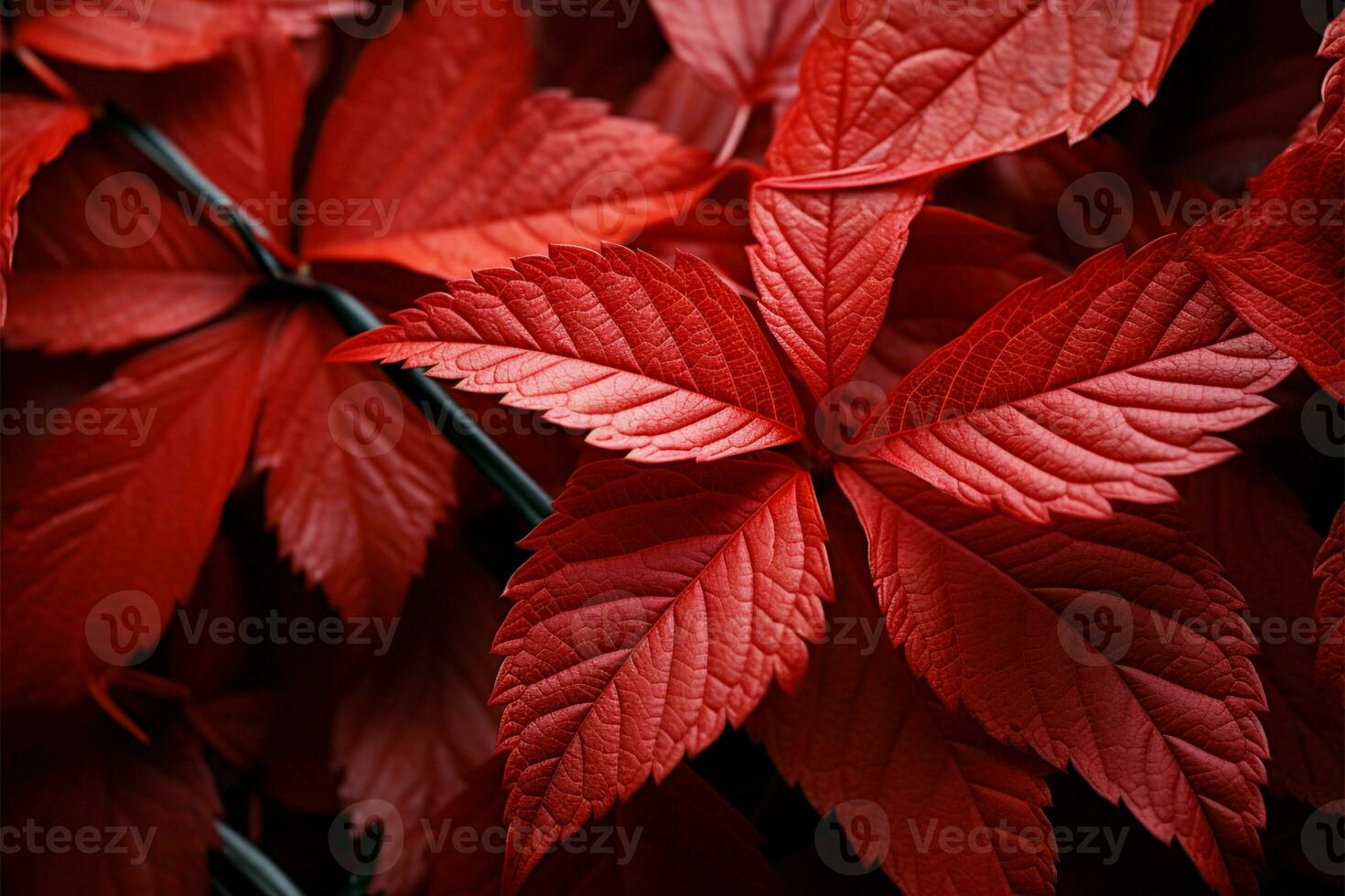A reddish leaf in the style of lively, vibrant stage hues AI Generated photo