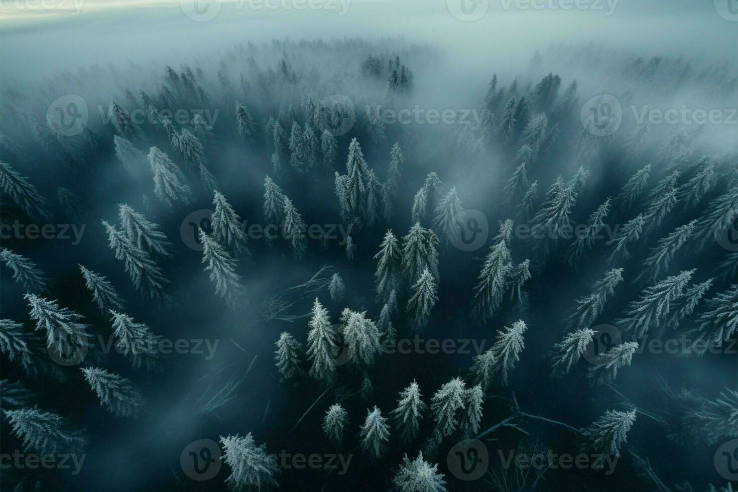 A birds eye view of the enigmatic, fog filled winter spruce woods AI Generated photo