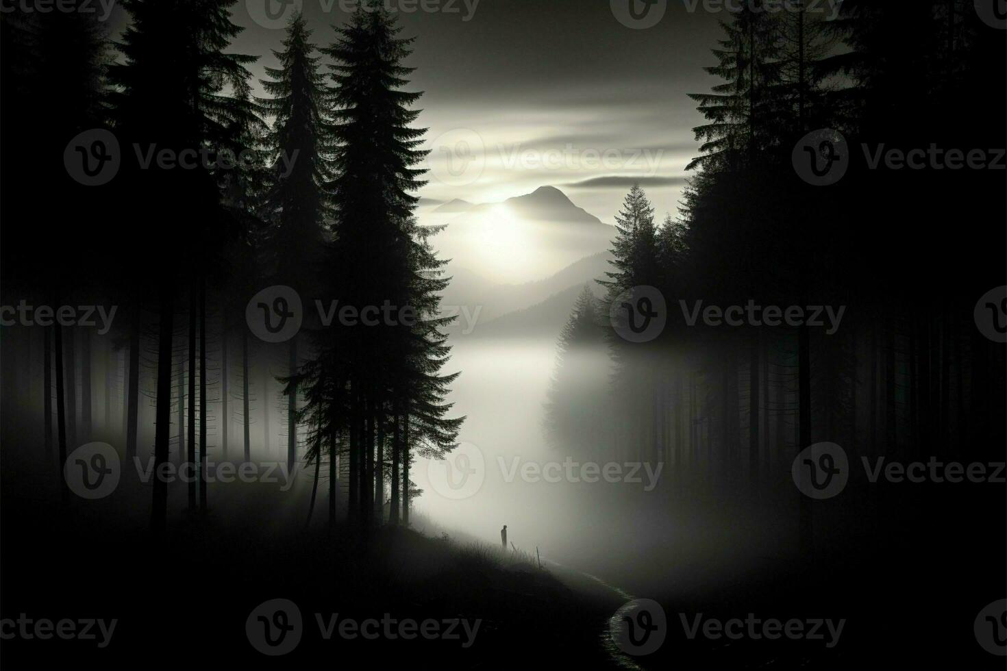 A serene, enigmatic forest, its silhouette evoking timeless tranquility in black and white AI Generated photo