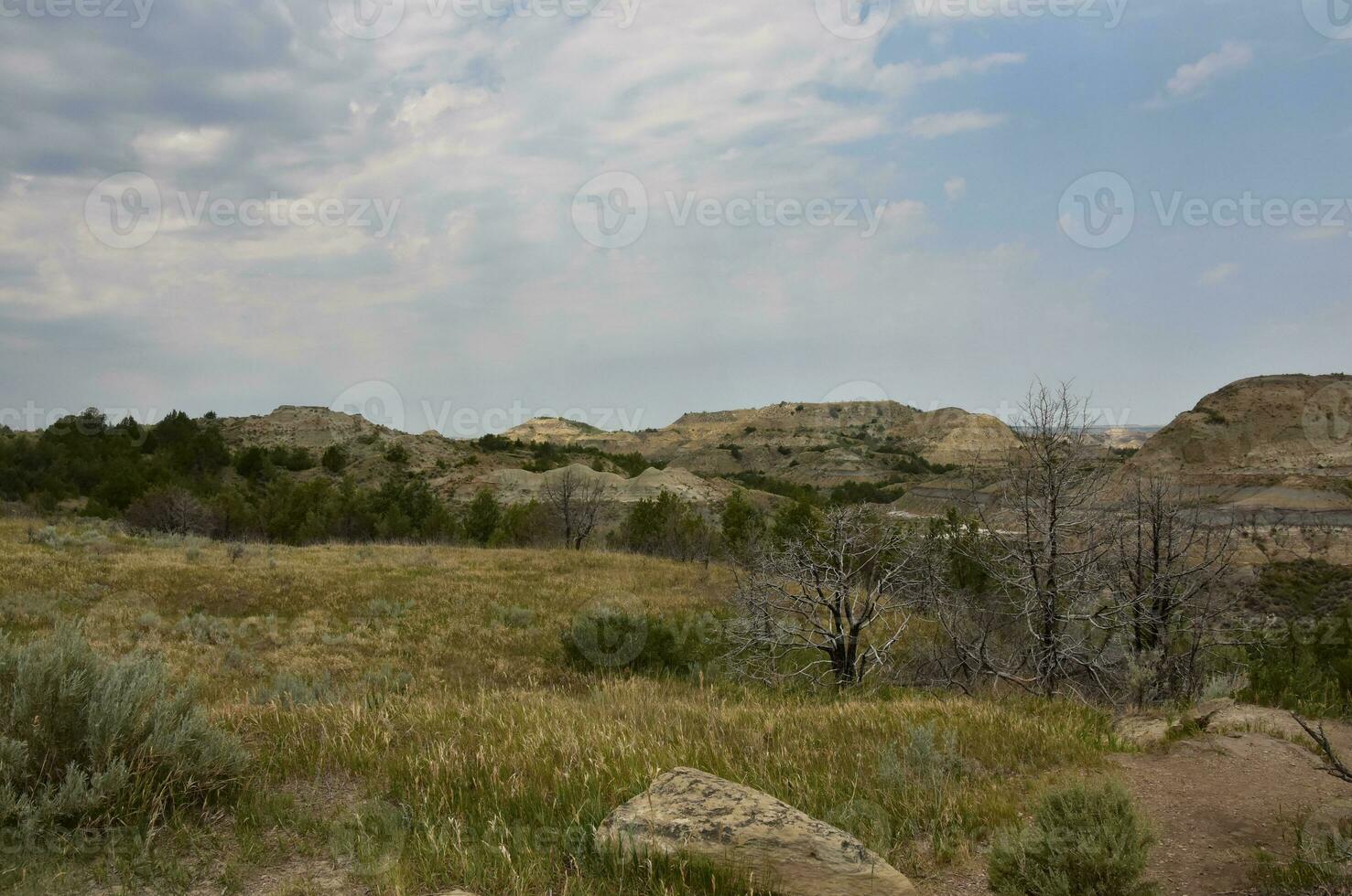Amazing Geological Landscape of Field with the Badlands in the Distance photo