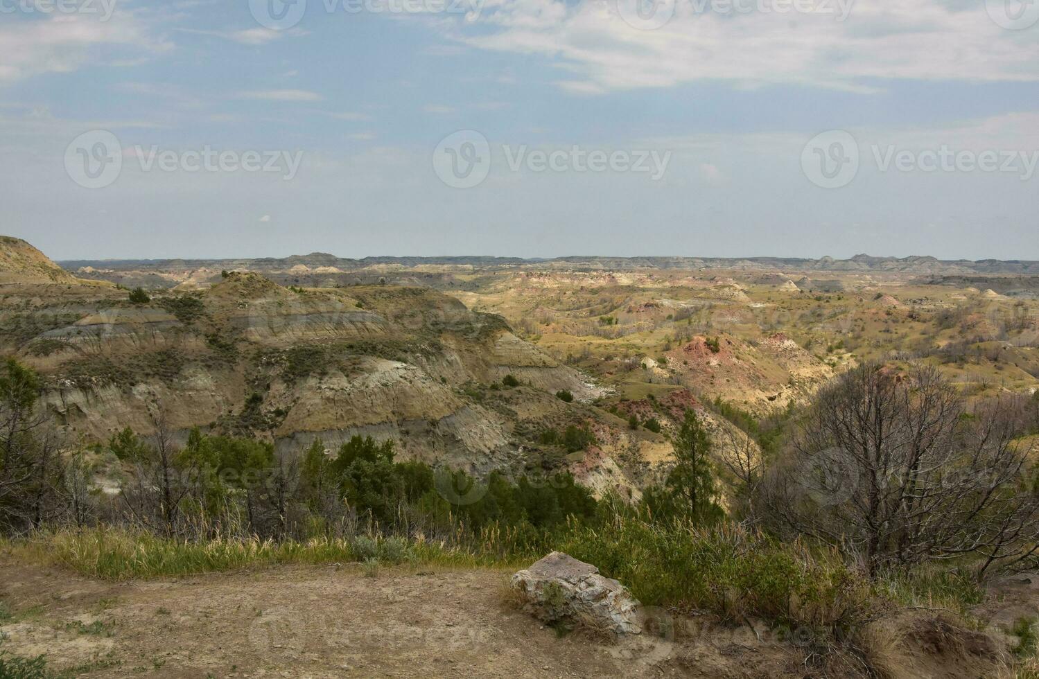 Stunning Canyon Views in the Summer Time photo