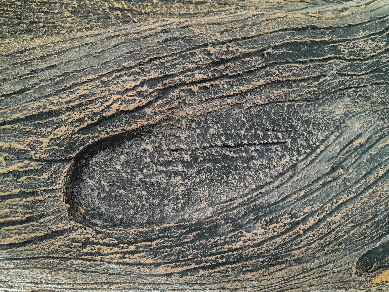 Closeup of tree trunk. Concrete wood texture. Tree bark texture of the cement relief plaster wall with natural color paint. photo