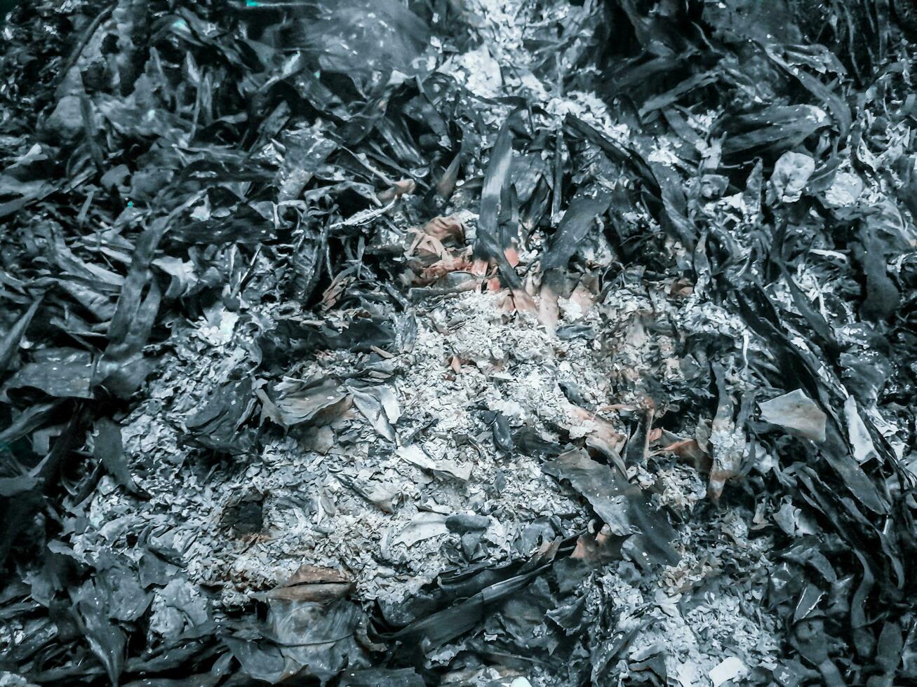 Close up of a Burning fall leaves in the incinerator. White smoke and Ashes left over from burning rubbish. photo