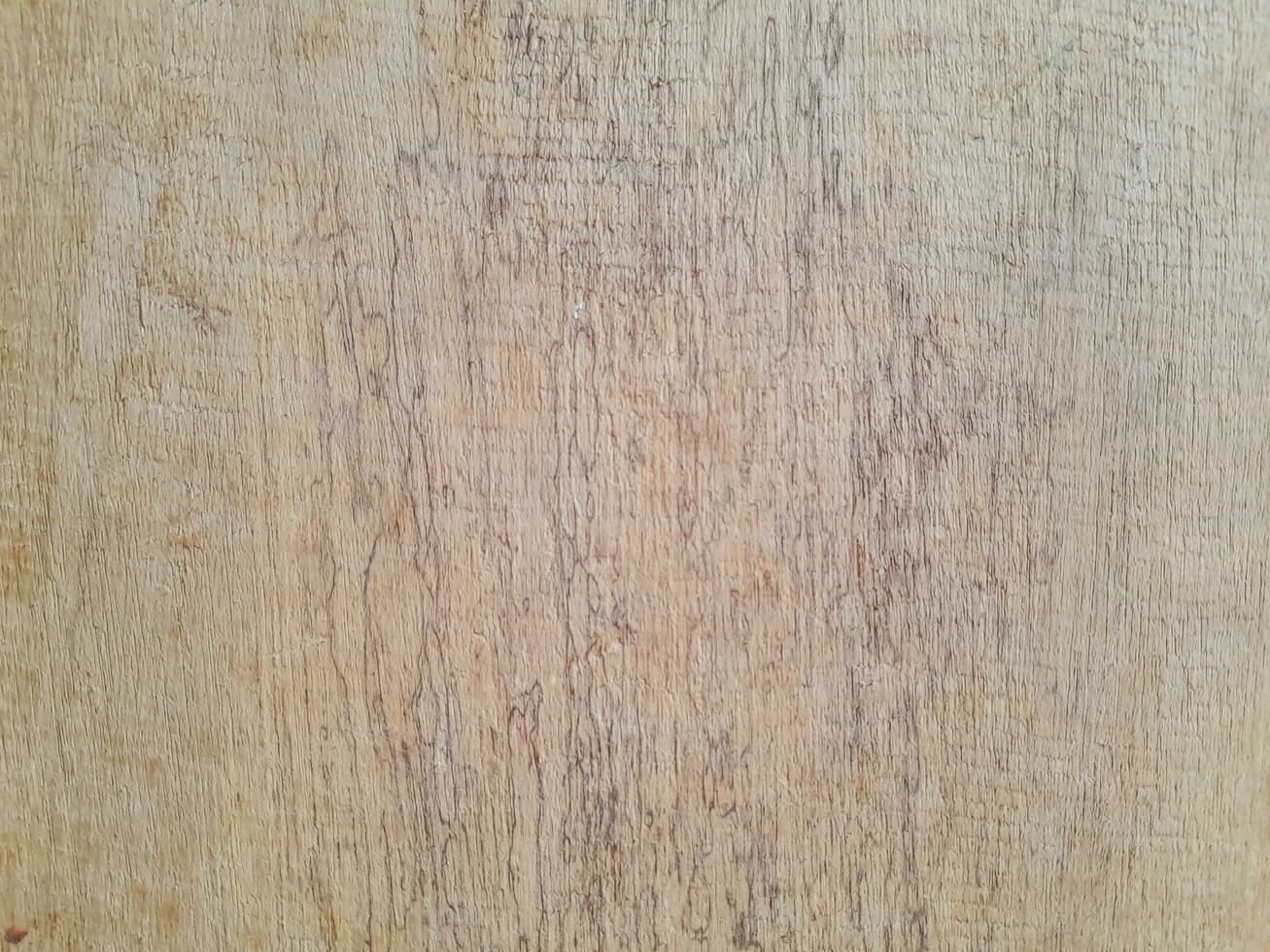 close up of a bark texture photo