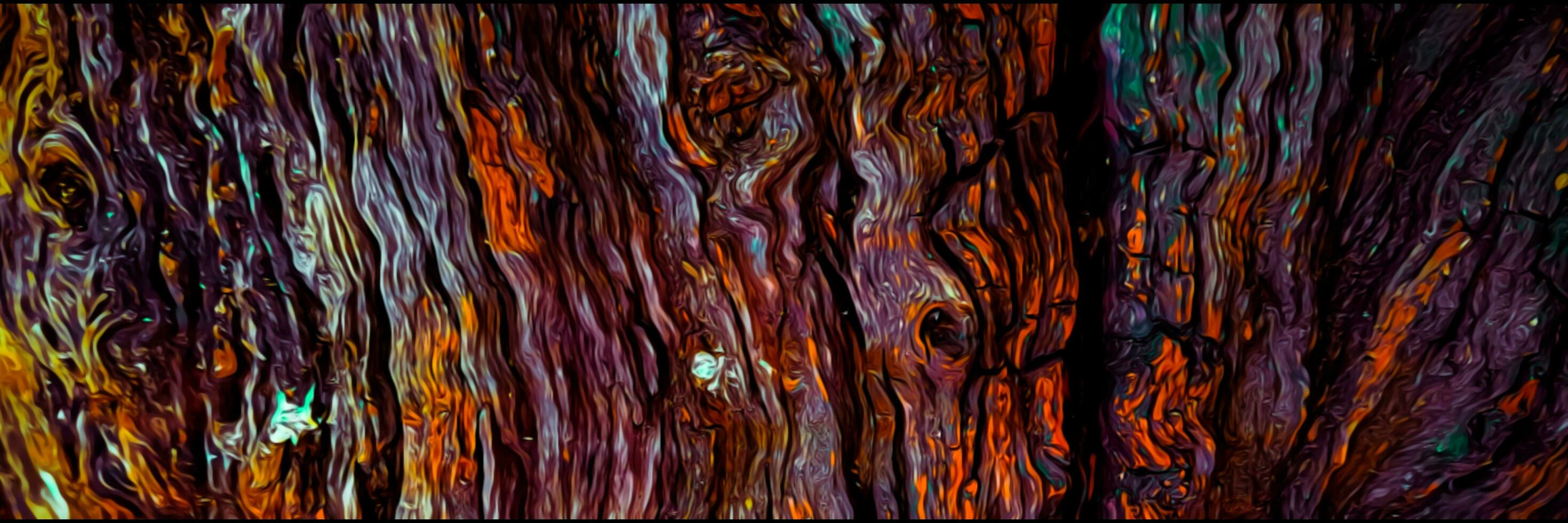 close up of a bark texture photo