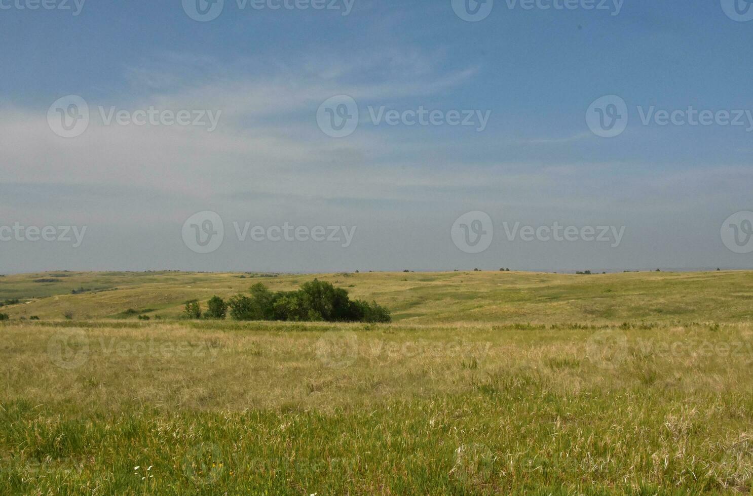 Grasslands and Fields as Far as the Eye Can See photo