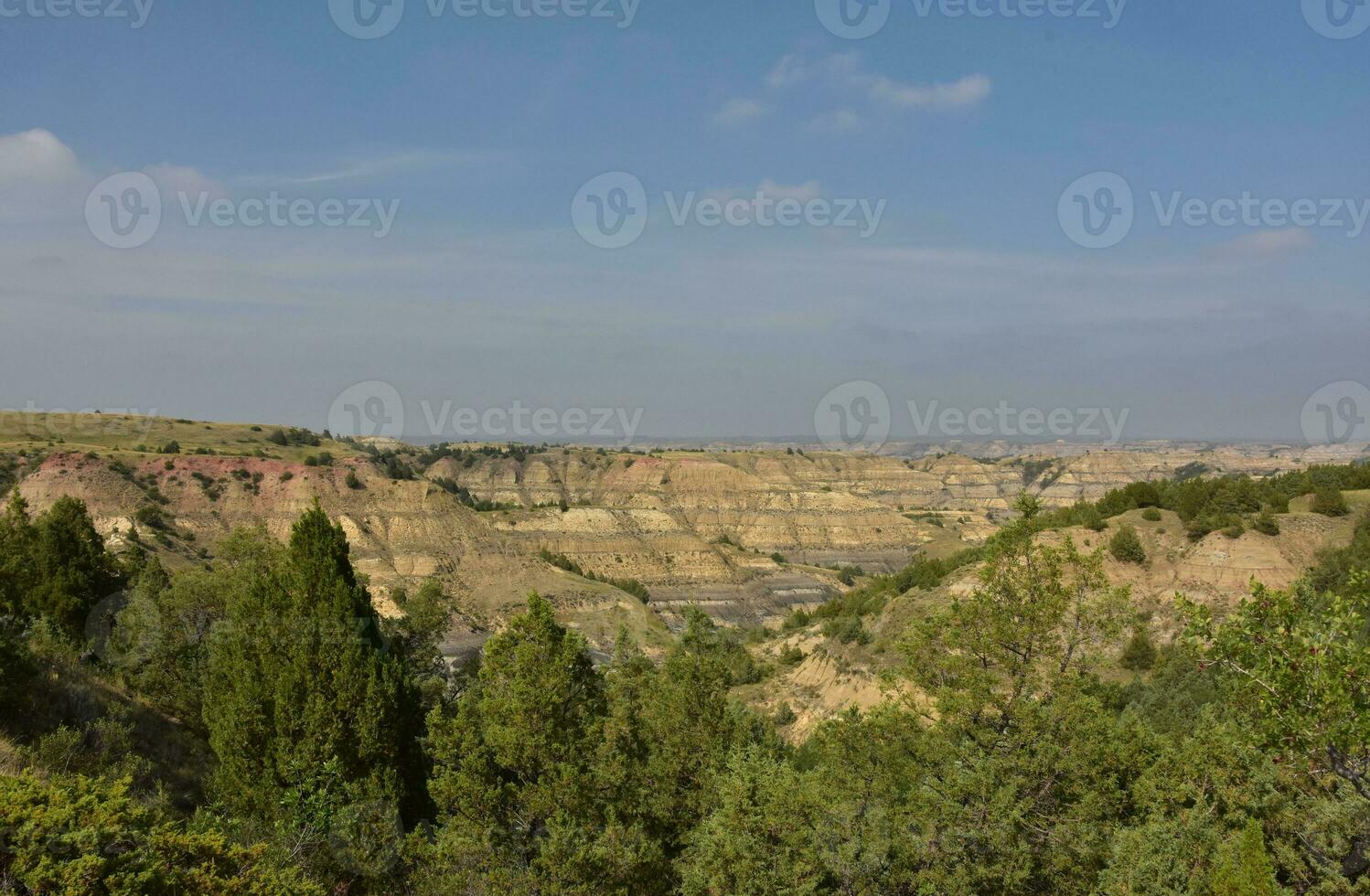 Lush Trees on the Edges of the Badlands photo