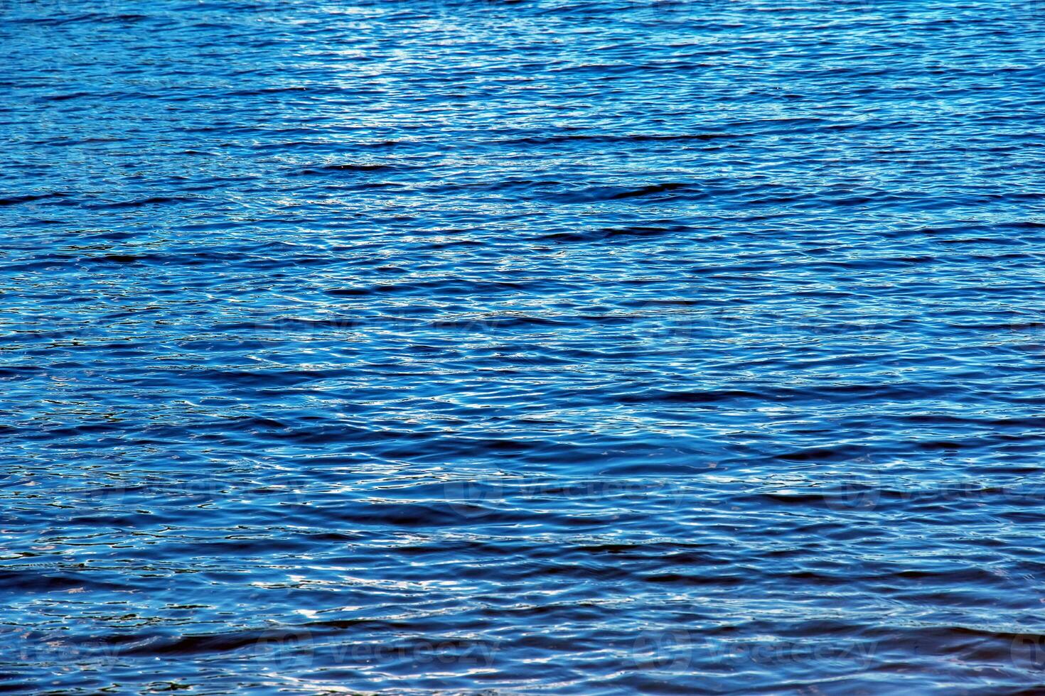 Water ripple texture background. Wavy water surface during sunset, golden light reflecting in the water. photo