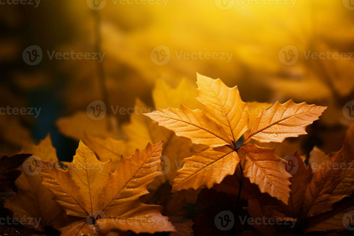 The background adorned with the vibrant beauty of fall foliage AI Generated photo