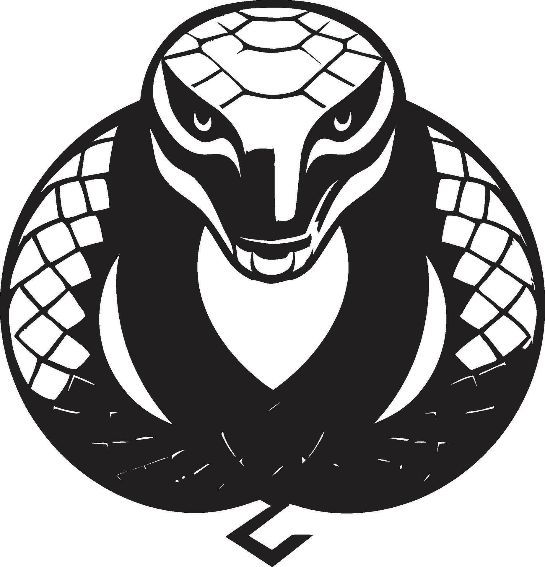 Python for Artists Unleash Vector Potential Vector Magic with Python A ...