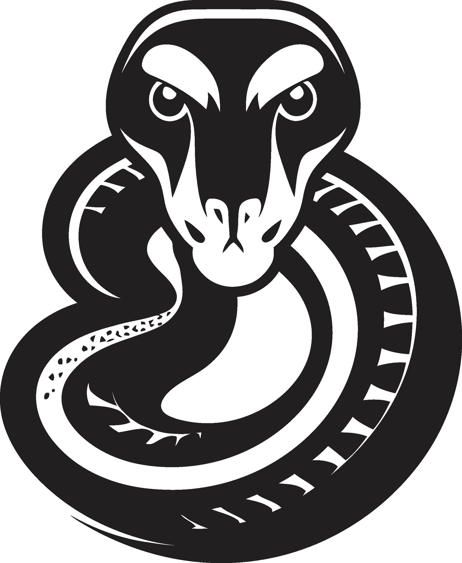 The Python Canvas Artistic Vectors from Code Python Artistry Basics ...
