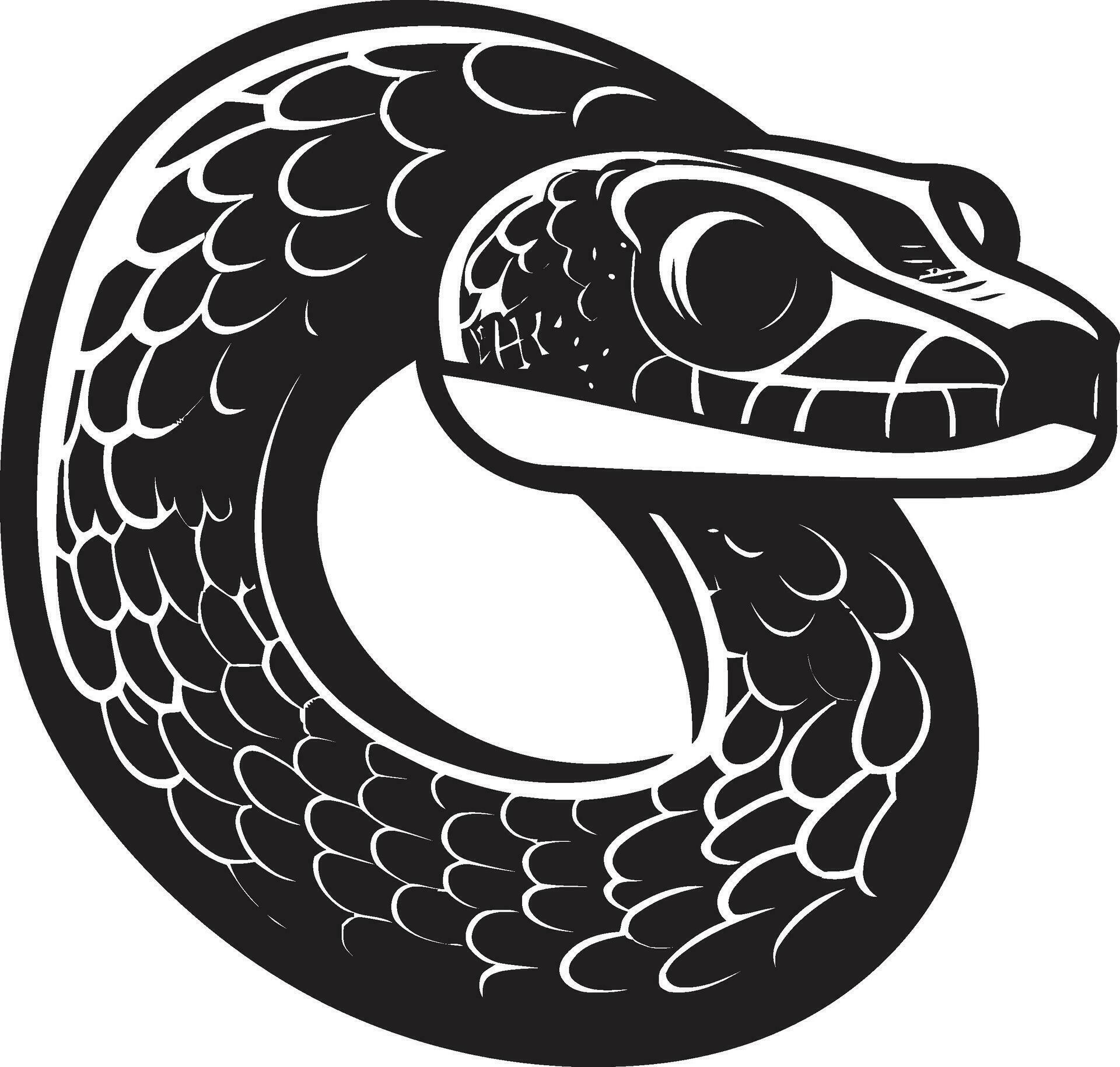 Python Vector Magic Designing Like a Pro Crafting Vector Art with ...