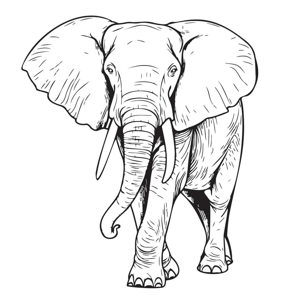 elefante caminando bosquejo mano dibujado en garabatear estilo vector ilustración