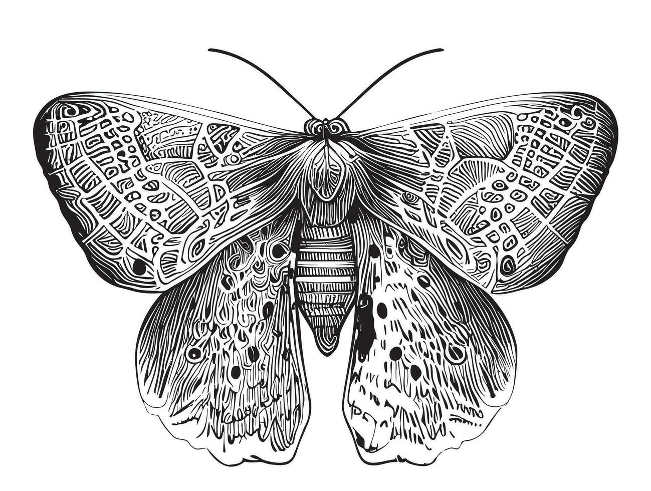 polilla insecto bosquejo mano dibujado en garabatear estilo vector ilustración